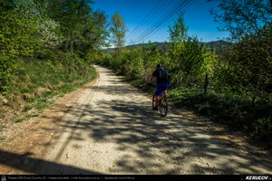 Trasee cu bicicleta MTB XC - Traseu MTB Pitesti - Argeselu - Jupanesti - Retevoiesti - Domnesti - Corbi - Jgheaburi - Pitesti (Biserica de lemn din Jupanesti, Manastirea Corbii de Piatra, Cula Druganescu, Vila Micescu) de Andrei Vocurek