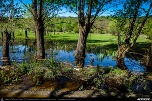 Trasee cu bicicleta MTB XC - Traseu MTB Pitesti - Argeselu - Jupanesti - Retevoiesti - Domnesti - Corbi - Jgheaburi - Pitesti (Biserica de lemn din Jupanesti, Manastirea Corbii de Piatra, Cula Druganescu, Vila Micescu) de Andrei Vocurek