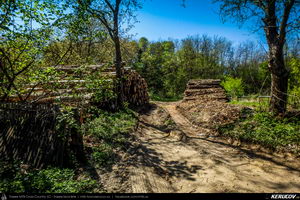 Trasee cu bicicleta MTB XC - Traseu MTB Pitesti - Argeselu - Jupanesti - Retevoiesti - Domnesti - Corbi - Jgheaburi - Pitesti (Biserica de lemn din Jupanesti, Manastirea Corbii de Piatra, Cula Druganescu, Vila Micescu) de Andrei Vocurek