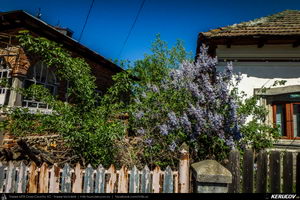 Trasee cu bicicleta MTB XC - Traseu MTB Pitesti - Argeselu - Jupanesti - Retevoiesti - Domnesti - Corbi - Jgheaburi - Pitesti (Biserica de lemn din Jupanesti, Manastirea Corbii de Piatra, Cula Druganescu, Vila Micescu) de Andrei Vocurek
