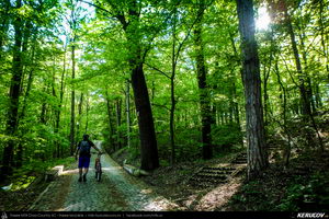 Trasee cu bicicleta MTB XC - Traseu MTB Pitesti - Argeselu - Jupanesti - Retevoiesti - Domnesti - Corbi - Jgheaburi - Pitesti (Biserica de lemn din Jupanesti, Manastirea Corbii de Piatra, Cula Druganescu, Vila Micescu) de Andrei Vocurek