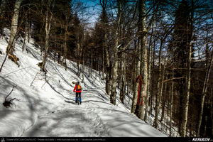 Traseu MTB Muntii Bucegi: Sinaia - Cota 1400 - Sinaia (Schitul Sfanta Ana, Castelul Peles) - KERUCOV .ro © 2007 - 2025 || #traseecubicicleta #mtb #ssp
