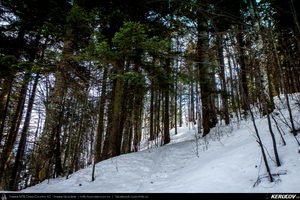 Traseu MTB Muntii Bucegi: Sinaia - Cota 1400 - Sinaia (Schitul Sfanta Ana, Castelul Peles) - KERUCOV .ro © 2007 - 2025 || #traseecubicicleta #mtb #ssp