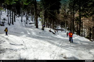 Trasee cu bicicleta MTB XC - Traseu MTB Muntii Bucegi: Sinaia - Cota 1400 - Sinaia (Schitul Sfanta Ana, Castelul Peles) de Andrei Vocurek