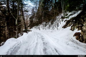 Trasee cu bicicleta MTB XC - Traseu MTB Muntii Bucegi: Sinaia - Cota 1400 - Sinaia (Schitul Sfanta Ana, Castelul Peles) de Andrei Vocurek