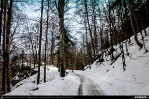 Trasee cu bicicleta MTB XC - Traseu MTB Muntii Bucegi: Sinaia - Cota 1400 - Sinaia (Schitul Sfanta Ana, Castelul Peles) de Andrei Vocurek