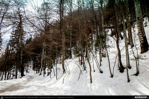Trasee cu bicicleta MTB XC - Traseu MTB Muntii Bucegi: Sinaia - Cota 1400 - Sinaia (Schitul Sfanta Ana, Castelul Peles) de Andrei Vocurek