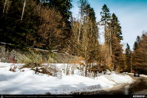 Trasee cu bicicleta MTB XC - Traseu MTB Muntii Bucegi: Sinaia - Cota 1400 - Sinaia (Schitul Sfanta Ana, Castelul Peles) de Andrei Vocurek