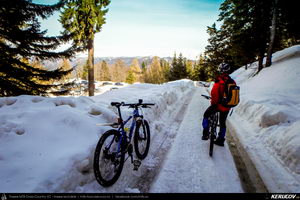 Trasee cu bicicleta MTB XC - Traseu MTB Muntii Bucegi: Sinaia - Cota 1400 - Sinaia (Schitul Sfanta Ana, Castelul Peles) de Andrei Vocurek