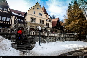 Trasee cu bicicleta MTB XC - Traseu MTB Muntii Bucegi: Sinaia - Cota 1400 - Sinaia (Schitul Sfanta Ana, Castelul Peles) de Andrei Vocurek