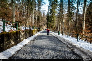 Trasee cu bicicleta MTB XC - Traseu MTB Muntii Bucegi: Sinaia - Cota 1400 - Sinaia (Schitul Sfanta Ana, Castelul Peles) de Andrei Vocurek