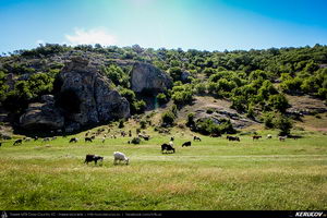 Trasee cu bicicleta MTB XC - Traseu MTB Cheile Dobrogei - Podisul Casimcei: Targusor - Gura Dobrogei - Sacele - Corbu - Navodari - Mamaia (Cheile Dobrogei, Pestera Casian, Pestera Liliecilor, Marea Neagra) de Andrei Vocurek