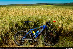 Trasee cu bicicleta MTB XC - Traseu MTB Cheile Dobrogei - Podisul Casimcei: Targusor - Gura Dobrogei - Sacele - Corbu - Navodari - Mamaia (Cheile Dobrogei, Pestera Casian, Pestera Liliecilor, Marea Neagra) de Andrei Vocurek