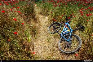 Trasee cu bicicleta MTB XC - Traseu MTB Cheile Dobrogei - Podisul Casimcei: Targusor - Gura Dobrogei - Sacele - Corbu - Navodari - Mamaia (Cheile Dobrogei, Pestera Casian, Pestera Liliecilor, Marea Neagra) de Andrei Vocurek