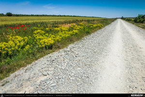 Trasee cu bicicleta MTB XC - Traseu MTB Cheile Dobrogei - Podisul Casimcei: Targusor - Gura Dobrogei - Sacele - Corbu - Navodari - Mamaia (Cheile Dobrogei, Pestera Casian, Pestera Liliecilor, Marea Neagra) de Andrei Vocurek