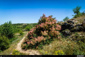 Trasee cu bicicleta MTB XC - Traseu MTB Cheile Dobrogei - Podisul Casimcei: Targusor - Gura Dobrogei - Sacele - Corbu - Navodari - Mamaia (Cheile Dobrogei, Pestera Casian, Pestera Liliecilor, Marea Neagra) de Andrei Vocurek