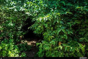 Trasee cu bicicleta MTB XC - Traseu MTB Cheile Dobrogei - Podisul Casimcei: Targusor - Gura Dobrogei - Sacele - Corbu - Navodari - Mamaia (Cheile Dobrogei, Pestera Casian, Pestera Liliecilor, Marea Neagra) de Andrei Vocurek