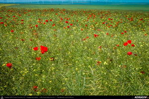 Trasee cu bicicleta MTB XC - Traseu MTB Cheile Dobrogei - Podisul Casimcei: Targusor - Gura Dobrogei - Sacele - Corbu - Navodari - Mamaia (Cheile Dobrogei, Pestera Casian, Pestera Liliecilor, Marea Neagra) de Andrei Vocurek