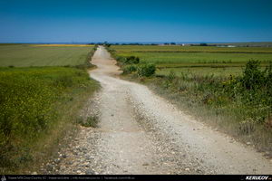 Trasee cu bicicleta MTB XC - Traseu MTB Cheile Dobrogei - Podisul Casimcei: Targusor - Gura Dobrogei - Sacele - Corbu - Navodari - Mamaia (Cheile Dobrogei, Pestera Casian, Pestera Liliecilor, Marea Neagra) de Andrei Vocurek