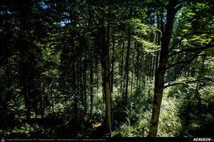 Trasee cu bicicleta MTB XC - Traseu SSP Brasov - Poiana Brasov - Brasov de Andrei Vocurek