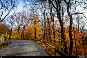 Trasee cu bicicleta MTB XC - Traseu SSP Breaza - Vistieru - Sotrile - Campina - Breaza de Andrei Vocurek