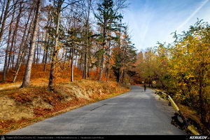 Trasee cu bicicleta MTB XC - Traseu SSP Breaza - Vistieru - Sotrile - Campina - Breaza de Andrei Vocurek