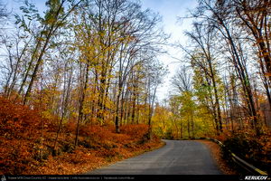 Trasee cu bicicleta MTB XC - Traseu SSP Breaza - Vistieru - Sotrile - Campina - Breaza de Andrei Vocurek