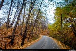Trasee cu bicicleta MTB XC - Traseu SSP Breaza - Vistieru - Sotrile - Campina - Breaza de Andrei Vocurek