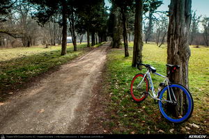 Trasee cu bicicleta MTB XC - Traseu SSP Bucuresti - Buftea - Lucianca - Peris - Balteni - Saftica - Balotesti - Dimieni - Tunari - Bucuresti de Andrei Vocurek