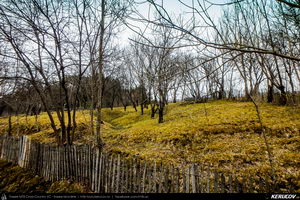 Trasee cu bicicleta MTB XC - Traseu SSP Valea Doftanei: Comarnic - Secaria - Tesila - Campina de Andrei Vocurek
