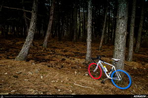 Trasee cu bicicleta MTB XC - Traseu SSP Valea Doftanei: Comarnic - Secaria - Tesila - Campina de Andrei Vocurek