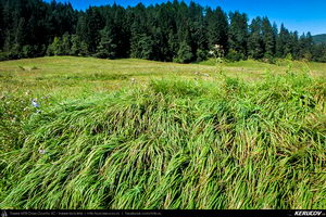 Trasee cu bicicleta MTB XC - Traseu SSP Dirste - Sacele - Pasul Bratocea - Cheia / Cheia - Maneciu (2 zile) de Andrei Vocurek