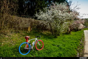 Trasee cu bicicleta MTB XC - Traseu SSP Predeal - Paraul Rece - Rasnov - Cristian - Brasov (in Duminica Tomii) de Andrei Vocurek