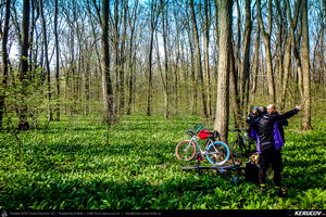 Trasee cu bicicleta MTB XC - Traseu SSP Padurea Snagov - Manastirea Snagov: Bucuresti - Tunari - Saftica - Izvorani - Silistea Snagovului - Gruiu - Moara Vlasiei - Dascalu - Bucuresti de Andrei Vocurek
