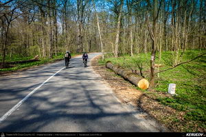 Trasee cu bicicleta MTB XC - Traseu SSP Padurea Snagov - Manastirea Snagov: Bucuresti - Tunari - Saftica - Izvorani - Silistea Snagovului - Gruiu - Moara Vlasiei - Dascalu - Bucuresti de Andrei Vocurek
