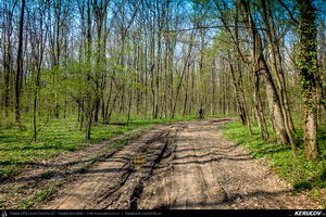 Trasee cu bicicleta MTB XC - Traseu SSP Padurea Snagov - Manastirea Snagov: Bucuresti - Tunari - Saftica - Izvorani - Silistea Snagovului - Gruiu - Moara Vlasiei - Dascalu - Bucuresti de Andrei Vocurek