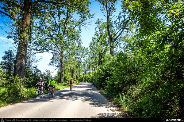 Traseu SSP Bucuresti - Mihailesti - Iepuresti - Calugareni - 1 Decembrie - Bucuresti - KERUCOV .ro © 2007 - 2025 || #traseecubicicleta #mtb #ssp
