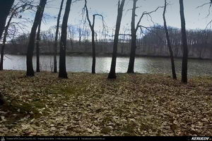 Trasee cu bicicleta MTB XC - Traseu SSP Bucuresti - Moara Domneasca - Ganeasa - Cozieni - Pasarea - Branesti - Vadu Anei - Fundeni - Tanganu - Cernica - Pantelimon - Bucuresti * de Andrei Vocurek