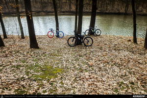 Trasee cu bicicleta MTB XC - Traseu SSP Bucuresti - Moara Domneasca - Ganeasa - Cozieni - Pasarea - Branesti - Vadu Anei - Fundeni - Tanganu - Cernica - Pantelimon - Bucuresti * de Andrei Vocurek