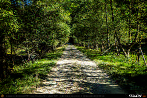 Trasee cu bicicleta MTB XC - Traseu MTB Muntii Siriu: Nehoiasu - Lunca Jaristei - Lacul Vulturilor - Nehoiu - Valea Lupului - Patarlagele - Gura Bascei de Andrei Vocurek