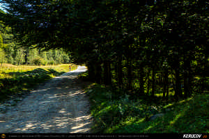 Trasee cu bicicleta MTB XC - Traseu MTB Muntii Siriu: Nehoiasu - Lunca Jaristei - Lacul Vulturilor - Nehoiu - Valea Lupului - Patarlagele - Gura Bascei de Andrei Vocurek