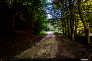 Trasee cu bicicleta MTB XC - Traseu MTB Muntii Siriu: Nehoiasu - Lunca Jaristei - Lacul Vulturilor - Nehoiu - Valea Lupului - Patarlagele - Gura Bascei de Andrei Vocurek