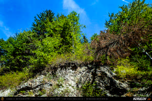 Trasee cu bicicleta MTB XC - Traseu MTB Muntii Siriu: Nehoiasu - Lunca Jaristei - Lacul Vulturilor - Nehoiu - Valea Lupului - Patarlagele - Gura Bascei de Andrei Vocurek