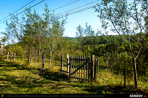 Trasee cu bicicleta MTB XC - Traseu MTB Poienile - Gura Bascei - Calvini - Slobozia - Corbu - Lera - Chiojdu - Basca Chiojdului: Casa cu Blazoane din Chiojdu si Cascada La Sipot de Andrei Vocurek
