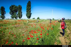 Traseu SSP Bucuresti - Calugareni - Singureni - Stalpu - Mihailesti - Bucuresti - KERUCOV .ro © 2007 - 2025 || #traseecubicicleta #mtb #ssp