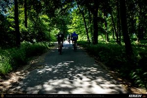 Trasee cu bicicleta MTB XC - Traseu SSP Bucuresti - Calugareni - Singureni - Stalpu - Mihailesti - Bucuresti de Andrei Vocurek