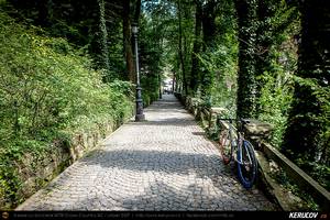 Trasee cu bicicleta MTB XC - Traseu SSP Muntii Bucegi: Sinaia - Cota 2000 - Piatra Arsa - Dichiu - Sinaia: drumetie si coborare cu bicicleta pe TransBucegi de Andrei Vocurek