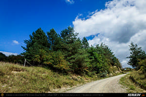 Trasee cu bicicleta MTB XC - Traseu MTB Poienile - Patarlagele - Colti - Ulmet - Bozioru - Muscelu-Caramanesti - Valea Sibiciului - Poienile: Babele de la Ulmet / trovanti de Andrei Vocurek