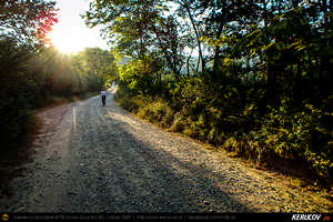 Trasee cu bicicleta MTB XC - Traseu MTB Poienile - Patarlagele - Colti - Ulmet - Bozioru - Muscelu-Caramanesti - Valea Sibiciului - Poienile: Babele de la Ulmet / trovanti de Andrei Vocurek