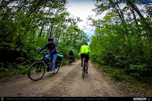 Traseu SSP Bucuresti - Colibasi - Comana - Vlad Tepes - Gradistea - 1 Decembrie - Bucuresti (bujorul de padure in Parcul Natural Comana) - KERUCOV .ro © 2007 - 2025 || #traseecubicicleta #mtb #ssp